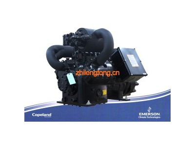 CSH6563-40/60比泽尔压缩机图1
