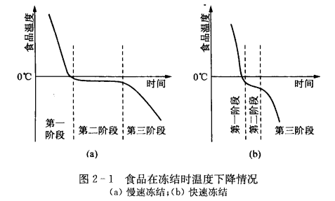制冷系统食品冻结过程中的冰结晶