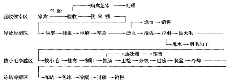 禽类的冷加工流程  第2张