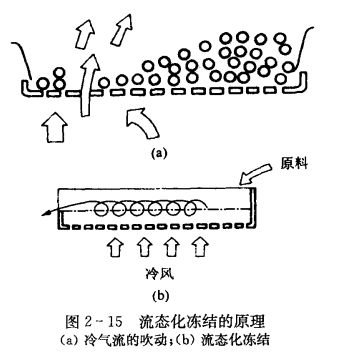 流态化冻结装置的特点  第2张