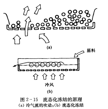 流态化冻结装置的特点