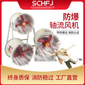 防爆轴流风机 CBF-300图3