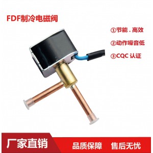 FDF2A 4A 6A 11A 13A 热泵 制冰机 空调 电磁阀图5